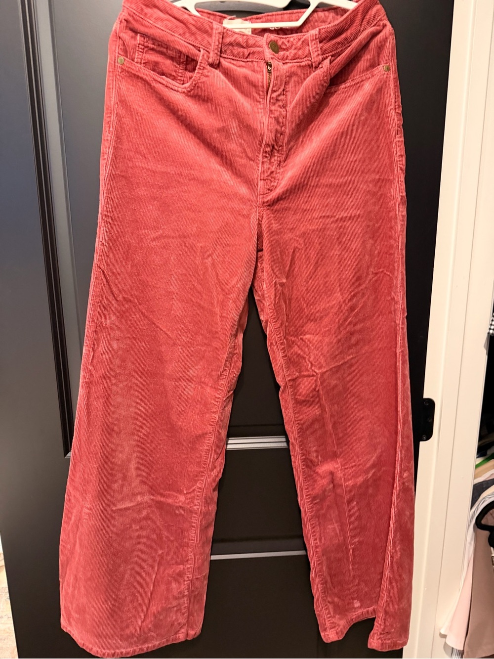 Pilcro Men's Corduroy Pants in Rose